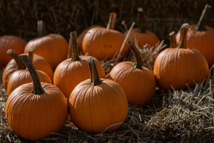 Pumpkins