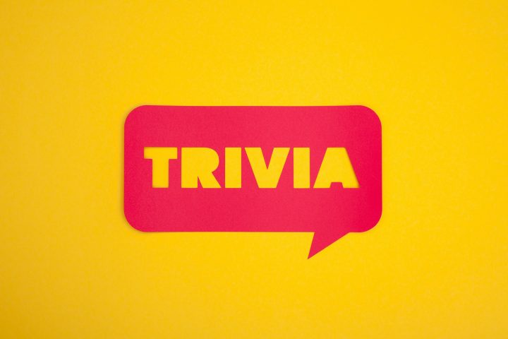 The trivia cardboard text sign